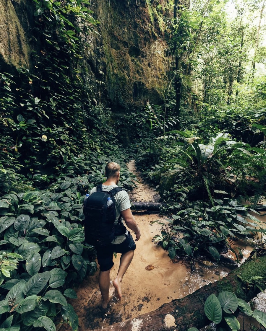 Francisco walking through the Amazon rainforest