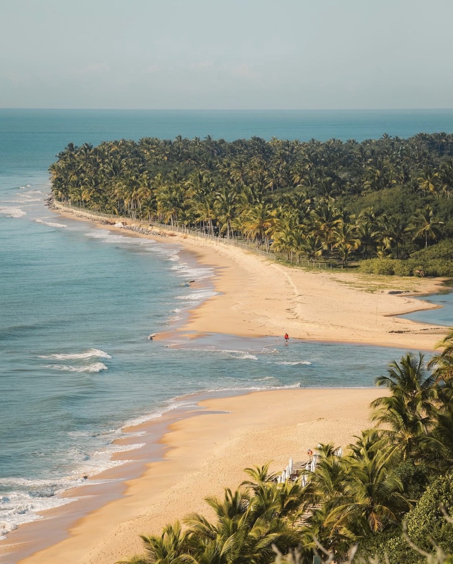 A palm-lined beach on Brazil's northeast coast